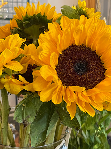 Florist «Paul Wood Florist», reviews and photos, 111 W Olive St, Fort Collins, CO 80524, USA