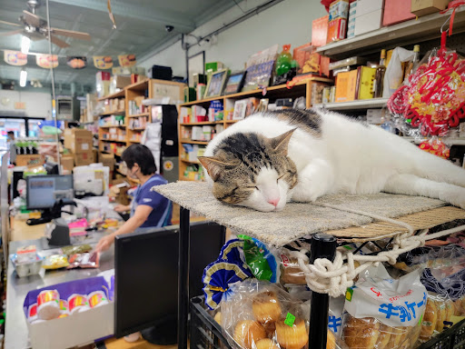 Asian Grocery Store «中西 Chinese American Mini Market», reviews and photos, 834 Park Ave, Cranston, RI 02910, USA