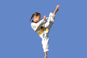 Pinnacle Taekwondo Martial Arts In Earlwood for kids, teens and adults image