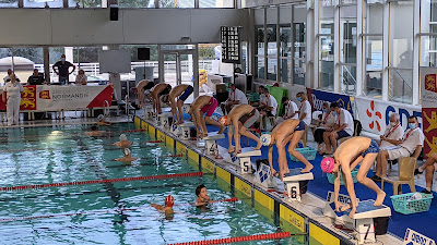 Entente Natation Louviers (ENL) à Louviers