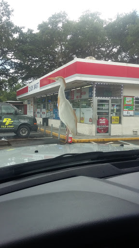 Night Club «Club 92», reviews and photos, 10101 US-92, Tampa, FL 33610, USA