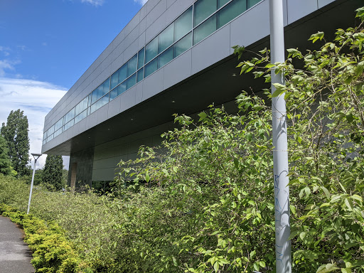 Gymnastics Center «University of Washington Intramural Activities Building (IMA)», reviews and photos, 3924 Montlake Blvd NE, Seattle, WA 98195, USA