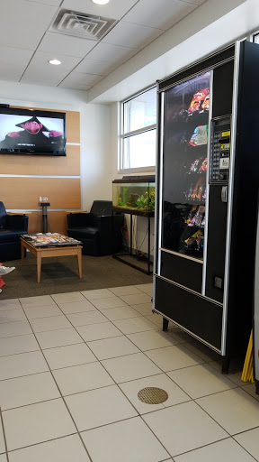 Chevrolet Dealer «Victory Chevrolet Buick», reviews and photos, 1250 Dexter St, Milan, MI 48160, USA