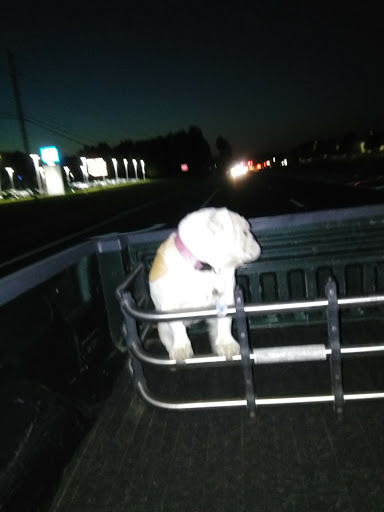 Chevrolet Dealer «Day’s Chevrolet», reviews and photos, 3693 Cobb Pkwy NW, Acworth, GA 30101, USA