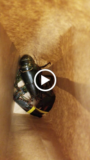 Grocery Store «Family Fare Supermarket», reviews and photos, 56151 M 51 S, Dowagiac, MI 49047, USA