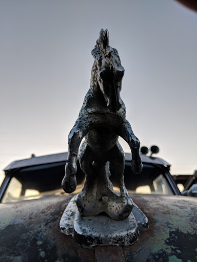 Restaurant «Salvage Station», reviews and photos, 468 Riverside Dr, Asheville, NC 28801, USA