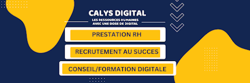 Agence de recrutement Calys Digital Eslettes