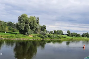 Elbe river image