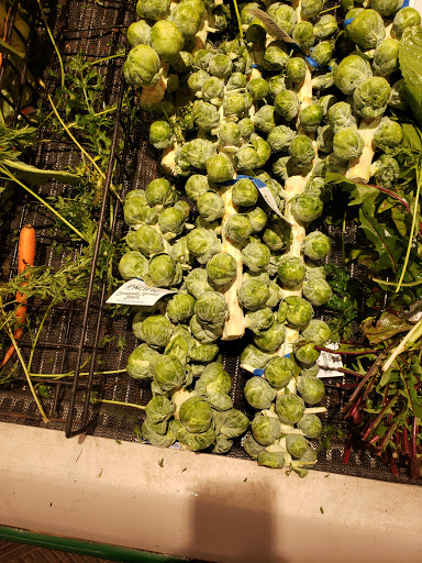 Grocery Store «Market Basket», reviews and photos, 25 Storey Ave, Newburyport, MA 01950, USA