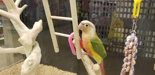 Pet Supply Store «PetSmart», reviews and photos, 1225 Industrial Rd, San Carlos, CA 94070, USA