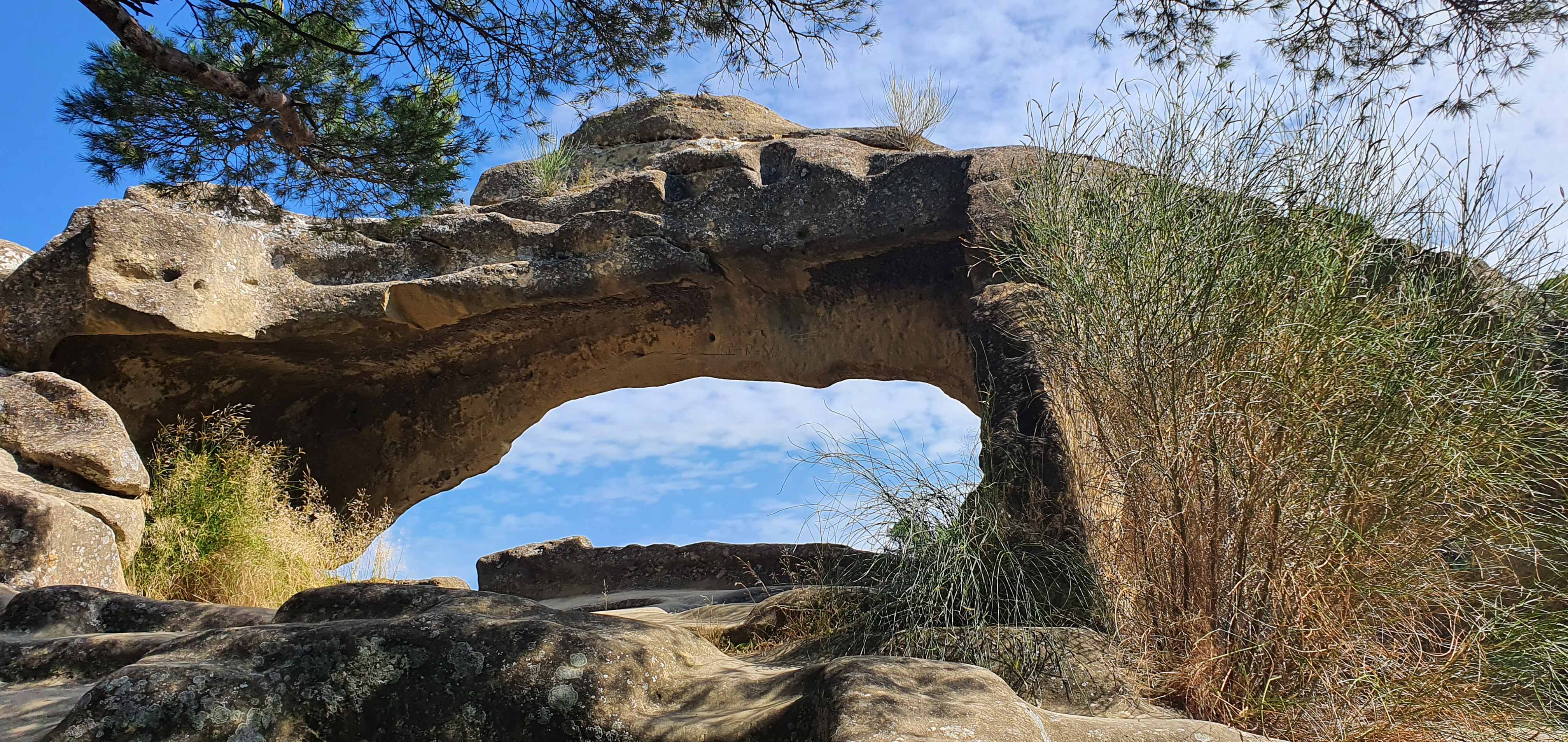 Photo n° 4 de l'avis de Ruiz.y fait le 26/07/2020 à 13:11