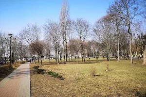 Park Veselka image