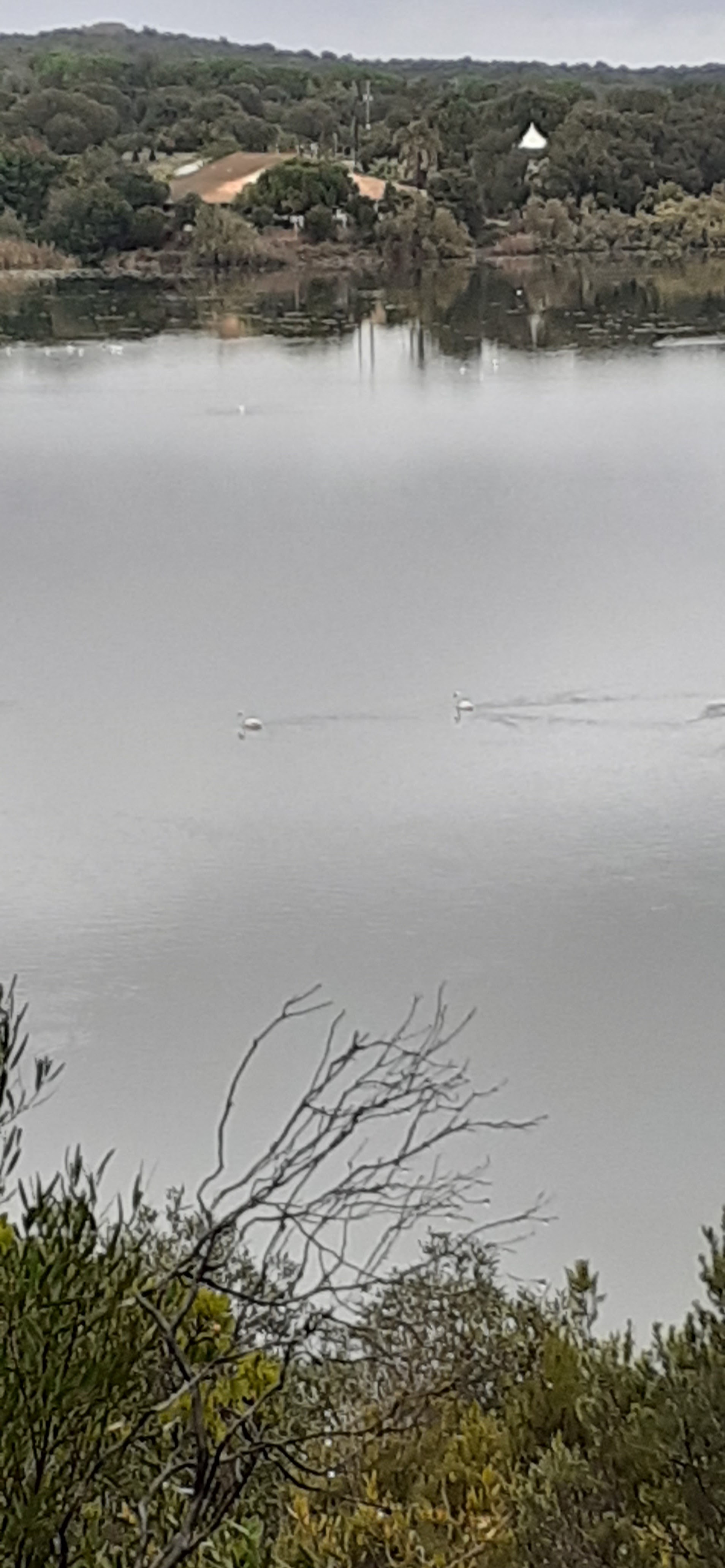 Photo n° 1 de l'avis de Angélique.o fait le 01/11/2021 à 19:15
