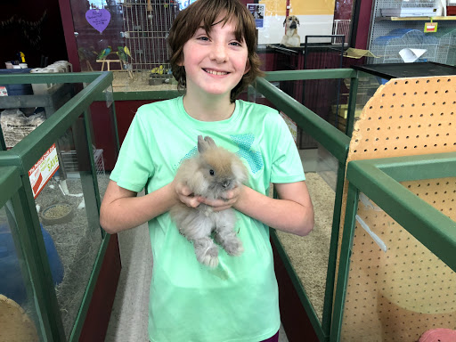 Pet Store «Petland Plano», reviews and photos, 1301 Custer Rd #405, Plano, TX 75075, USA