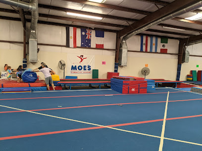 Moes Gymnastics Academy
