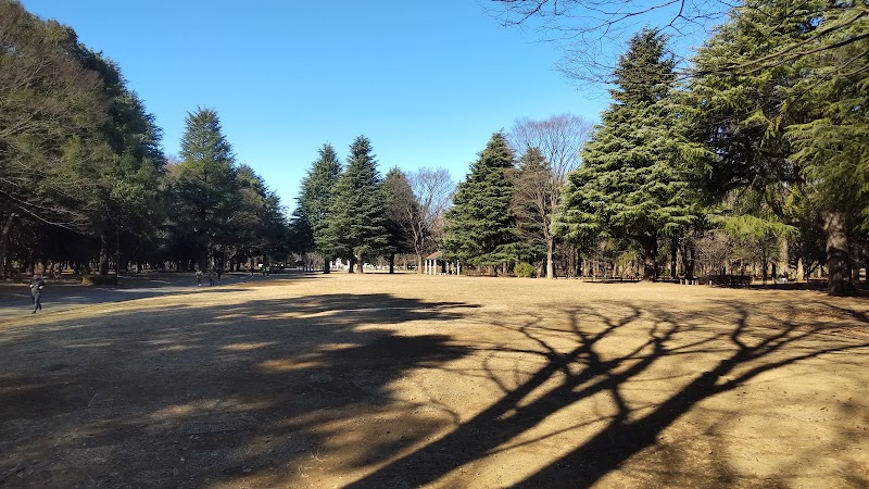 代々木公園 パノラマ広場