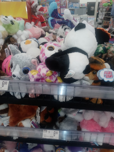 Discount Store «Big Lots», reviews and photos, 111 Racetrack Rd NW a, Fort Walton Beach, FL 32547, USA