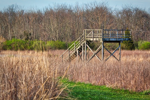 Tourist Attraction «Caesar Creek Visitor Center», reviews and photos, 4020 N Clarksville Rd, Waynesville, OH 45068, USA