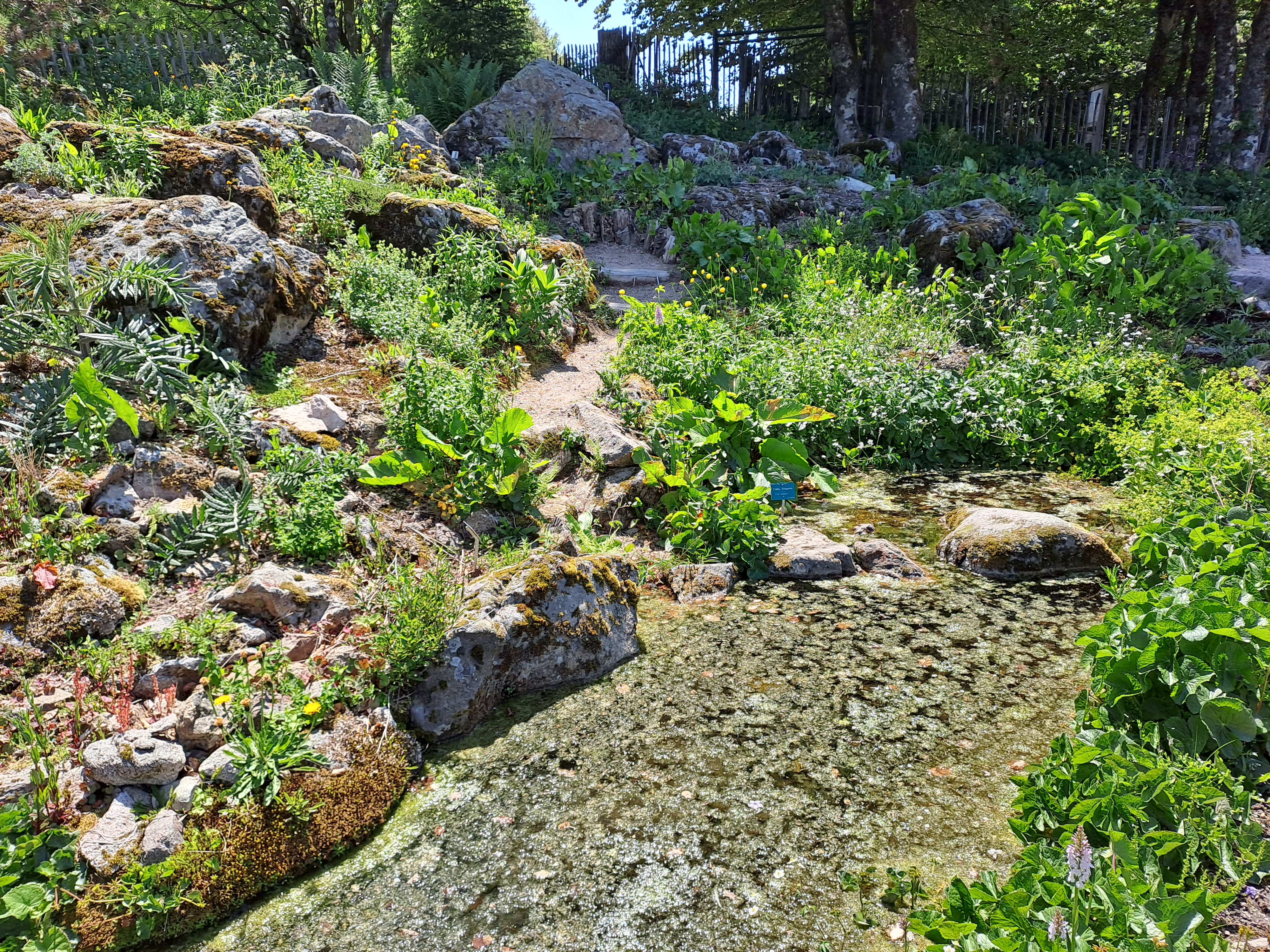 Photo n° 8 de l'avis de RAVIER.A fait le 15/06/2023 à 04:40