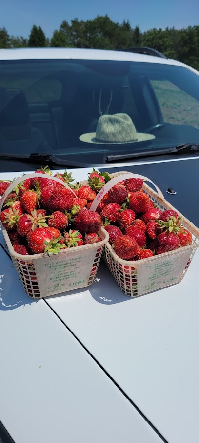 Garden Hill Farmers Market