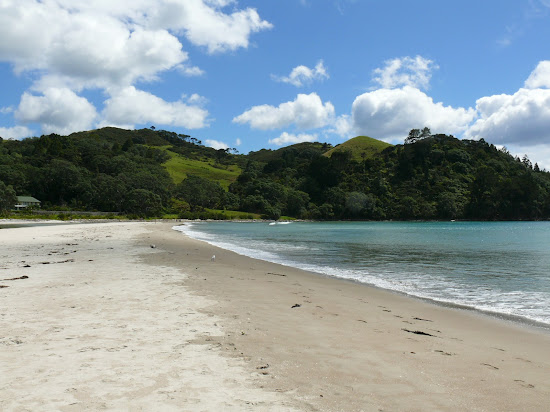 Whangapoua Beach