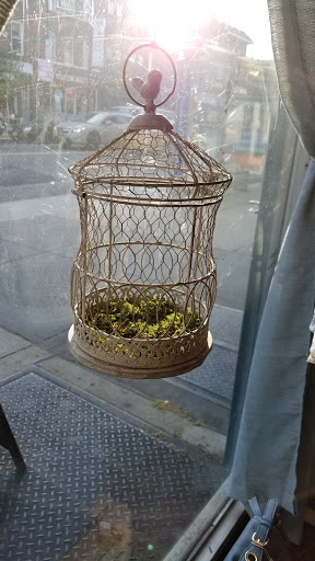 Boutique «The Brass Owl», reviews and photos, 36-19 Ditmars Blvd, Queens, NY 11105, USA