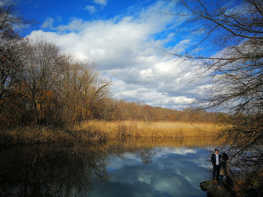 Park «Friends of Van Cortlandt Park», reviews and photos, 80 Van Cortlandt Park S, Bronx, NY 10463, USA
