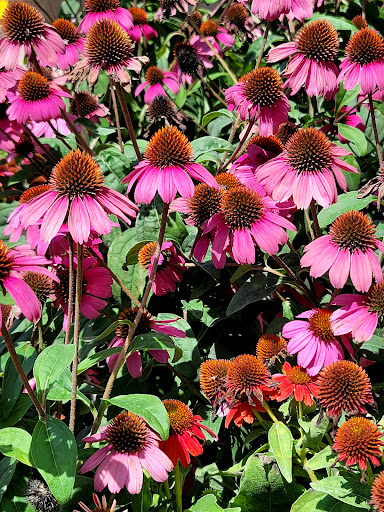 Home Improvement Store «The Home Depot», reviews and photos, 5455 Fairmont Pkwy, Pasadena, TX 77505, USA