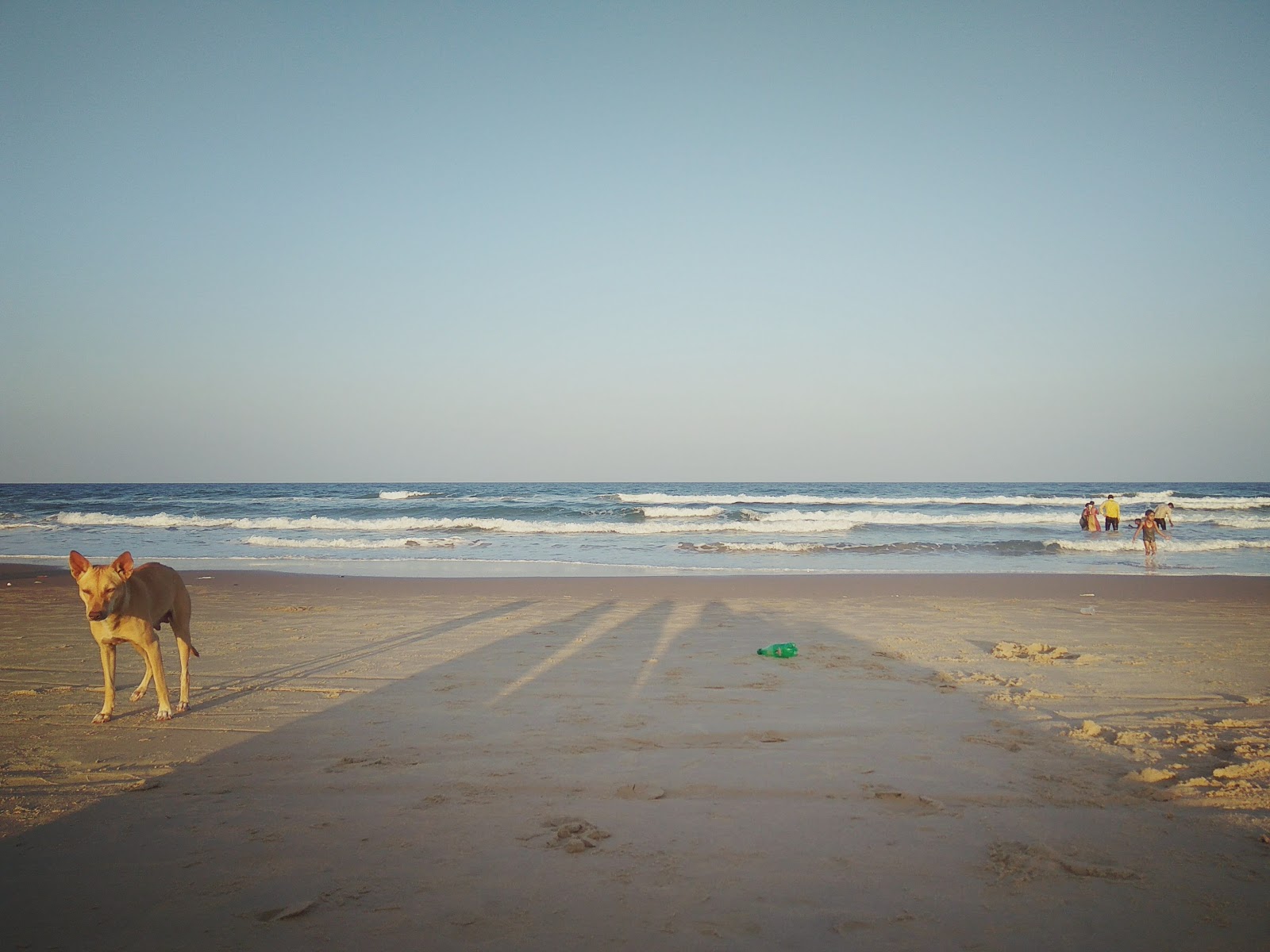 Fotografija Samiyar Pettai Beach divje območje