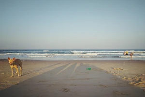 Samiyar Pettai Beach image