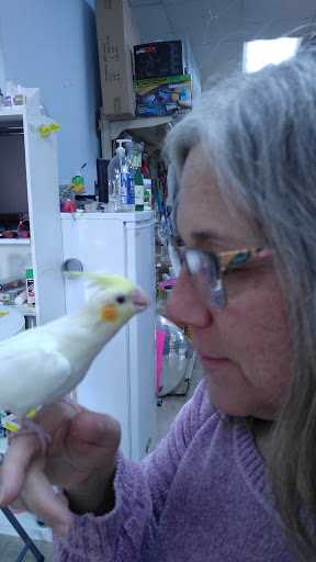 Pet Supply Store «Pet World», reviews and photos, 6527 Centralia Rd, Chesterfield, VA 23832, USA