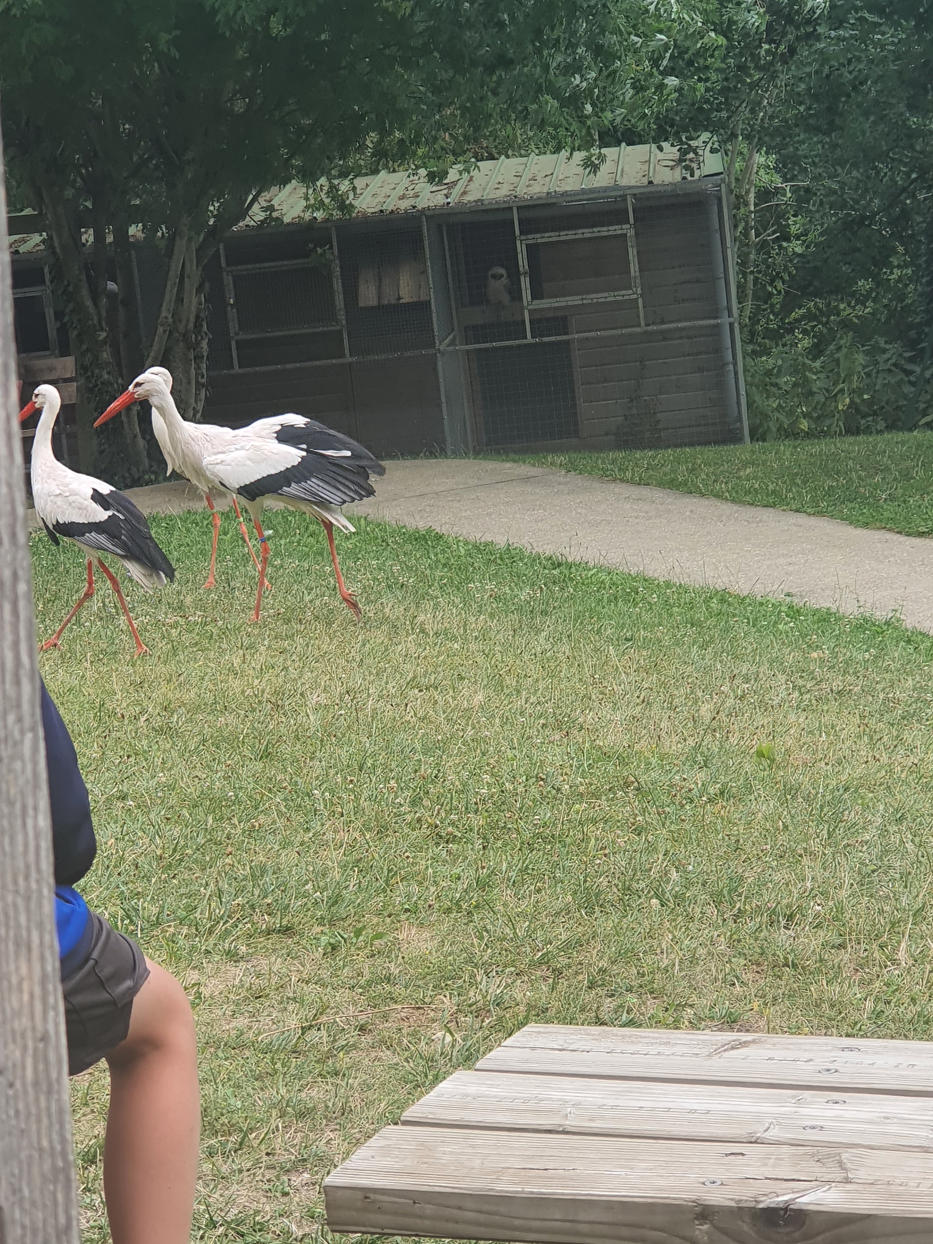 Photo n° 1 de l'avis de Mickael.e fait le 15/07/2023 à 13:18