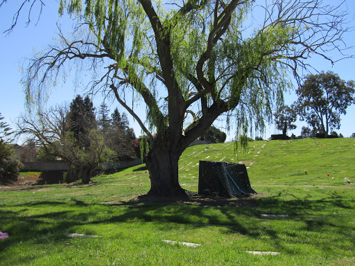 Funeral Home «Skyview Memorial Lawn», reviews and photos, 200 Rollingwood Dr, Vallejo, CA 94591, USA