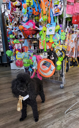 Pet Supply Store «Dog-Mania & Cats», reviews and photos, 37846 Meridian Ave, Dade City, FL 33525, USA