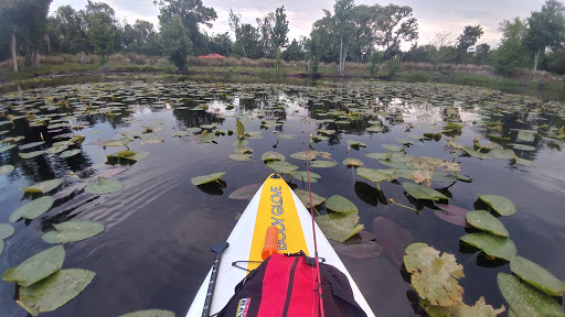 Park «Secret Lake Park», reviews and photos, 200 N Triplet Lake Dr, Casselberry, FL 32707, USA
