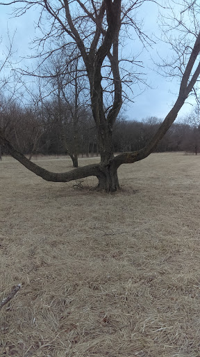 Nature Preserve «Lakewood Forest Preserve», reviews and photos, 27277 N Forest Preserve Rd, Wauconda, IL 60084, USA