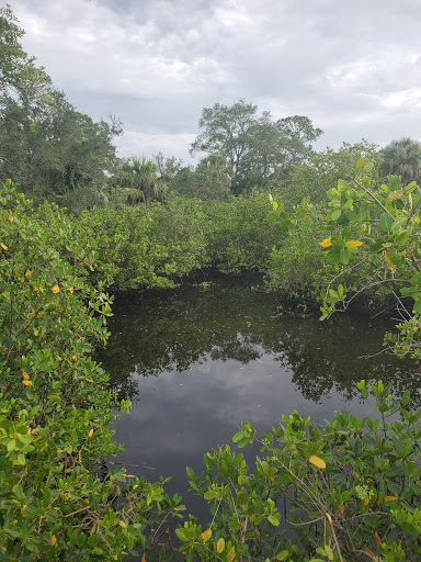 Nature Preserve «Mobbly Bayou Wilderness Preserve», reviews and photos, 423 Lafayette Blvd, Oldsmar, FL 34677, USA