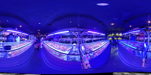 Tropical Fish Store «Manhattan Aquariums», reviews and photos, 522 W 37th St, New York, NY 10018, USA