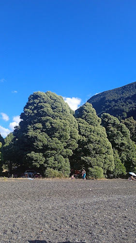 Provisiones Llau Llau Entrada RELUN - Villarrica