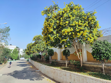 Google Maps image 17