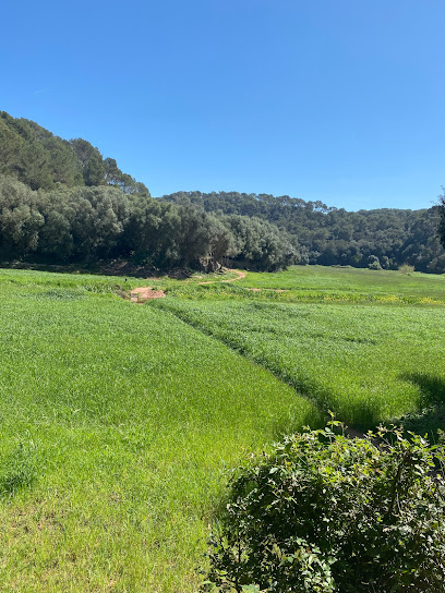 Zona de senderismo - Camí de Cavalls .Paso por el barranc de trebaluger - Cala Galdana
