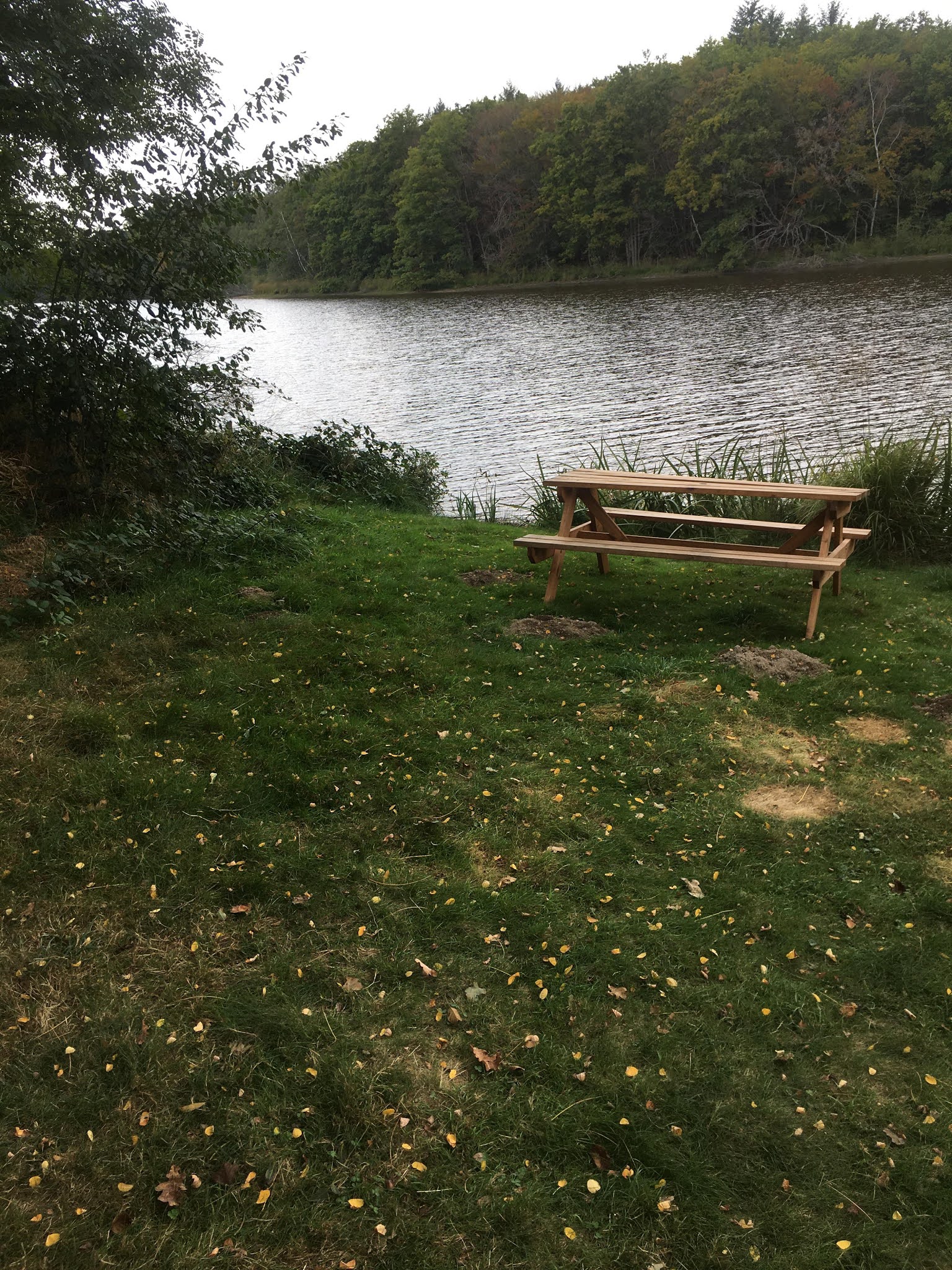 Photo n° 4 de l'avis de Thomas. fait le 28/12/2020 à 22:12