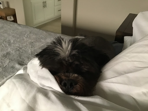 Banning Veterinary Hospital image
