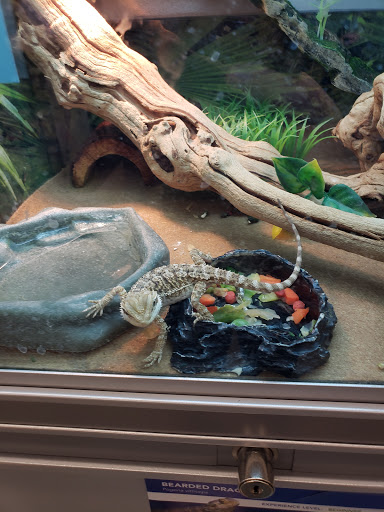 Pet Store «PetSmart», reviews and photos, 10451 Baltimore St NE, Blaine, MN 55449, USA