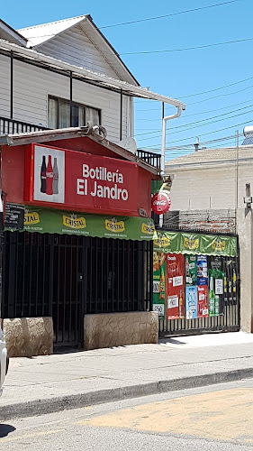 Opiniones de Botilleria El Jandro en San Antonio - Tienda