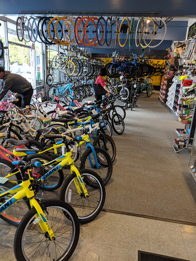 Bicycle Store «Hyland Family Bicycles», reviews and photos, 1515 Meridian Ave, San Jose, CA 95125, USA