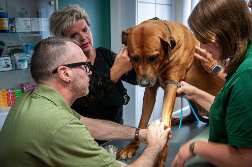 Dr.med.vet. Ralf Hinrichs veterinarian unter Wismar, 