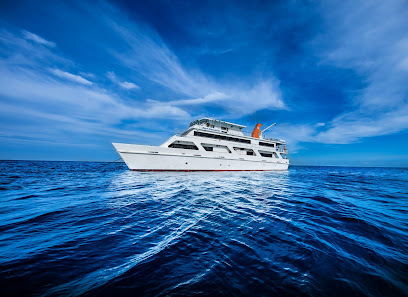 Overnight Great Barrier Reef Tour