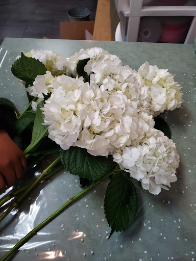 Florist «Carithers Flowers», reviews and photos, 1708 Powers Ferry Rd SE, Marietta, GA 30067, USA