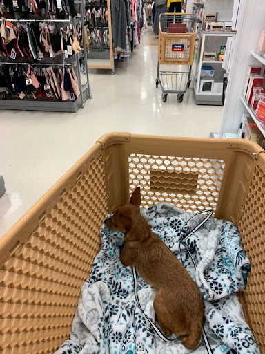 Department Store «HomeGoods», reviews and photos, 1425 Bay Area Blvd, Webster, TX 77598, USA